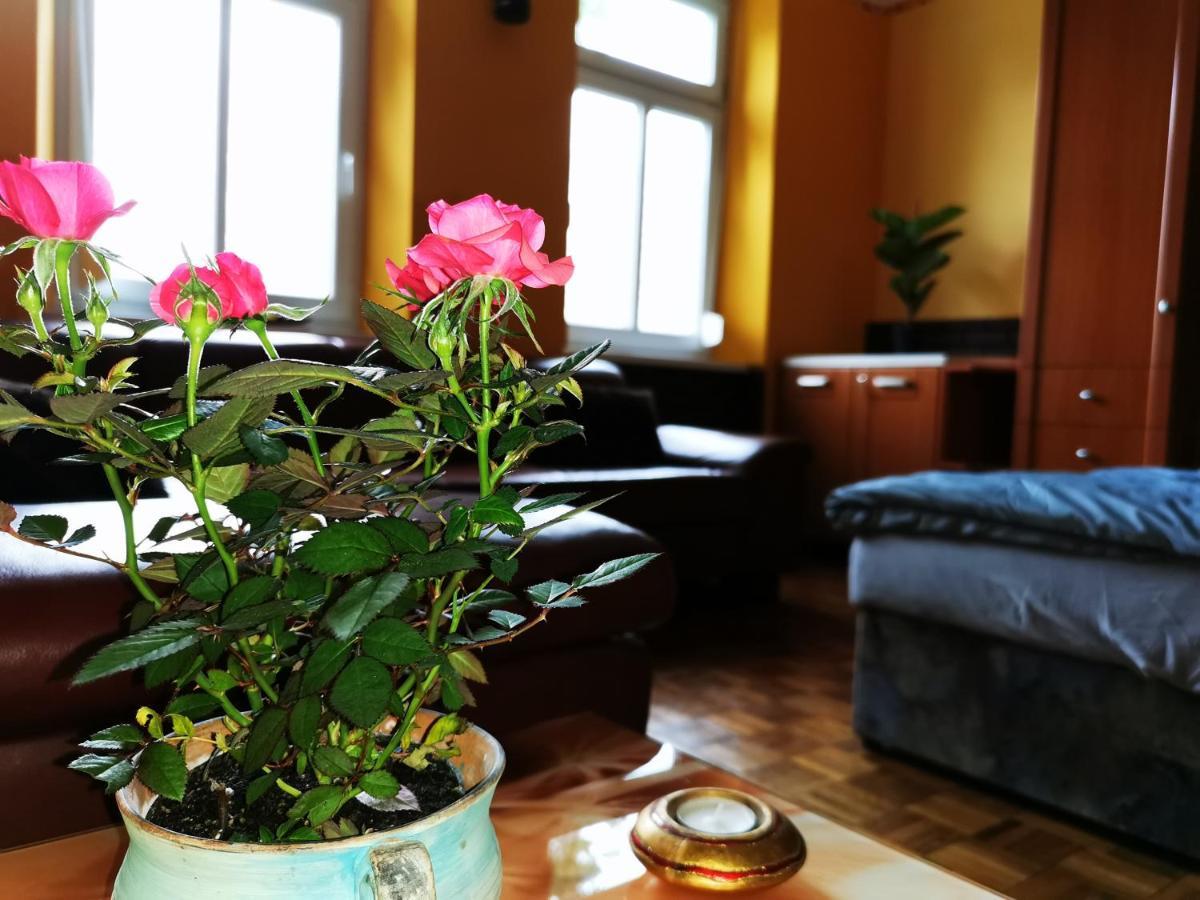Lehel Apartman 凯斯特海伊 外观 照片
